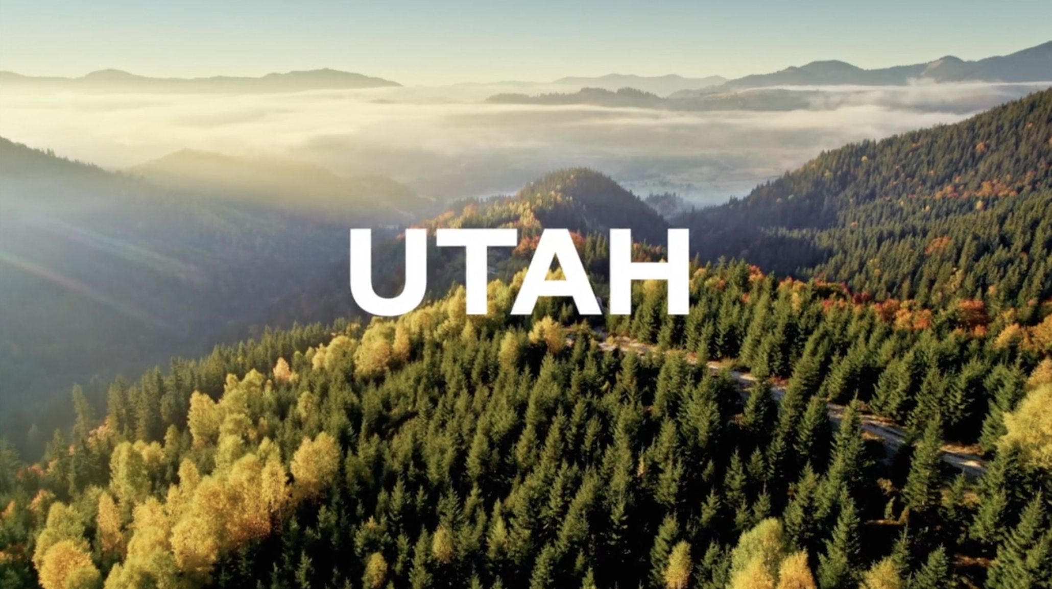 Screen Shot 2023-06-01 at 8.57.20 AM