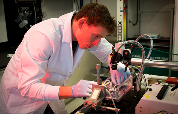 Biomedical Engineering Department Conference Development Fund