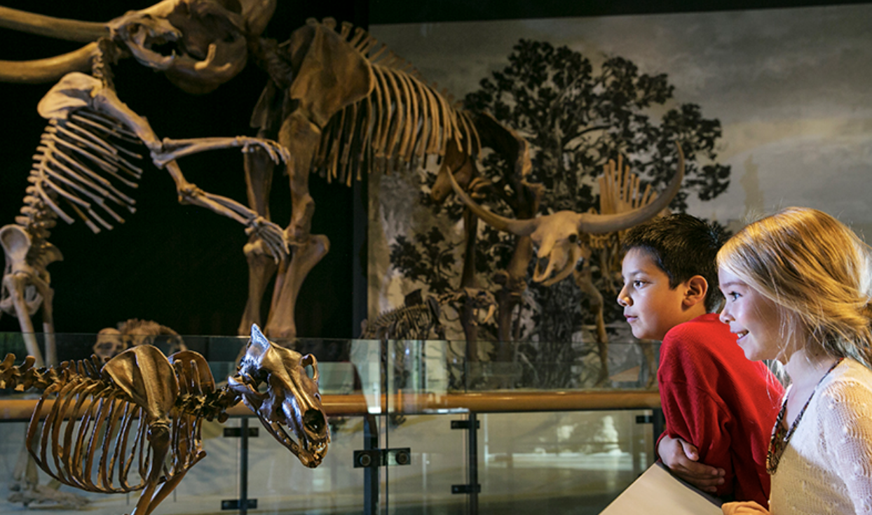 Natural History Museum of Utah