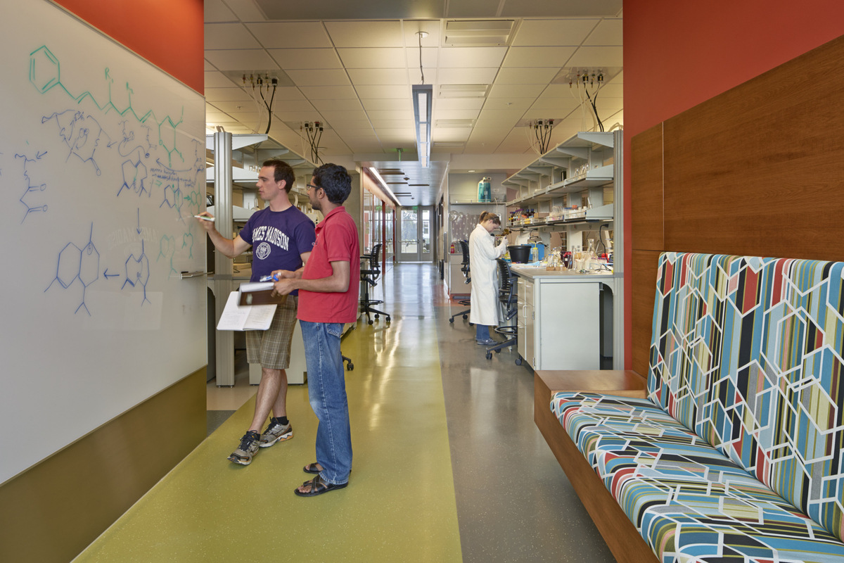 College of Pharmacy Dean’s Development Fund