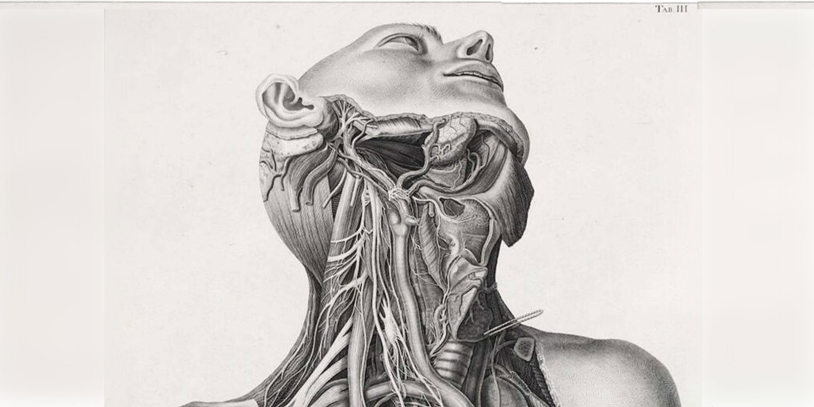 Legler Endowed Lectureship in Human Anatomy