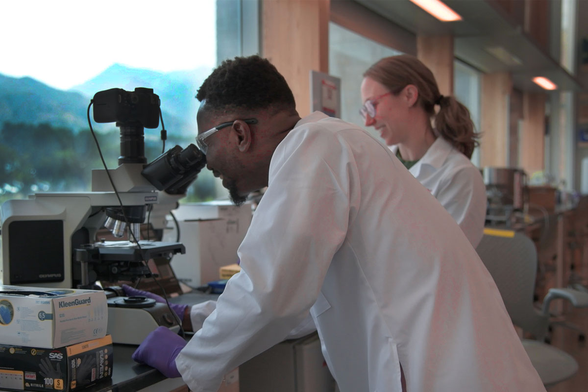 Molecular Pharmaceutics Development Fund