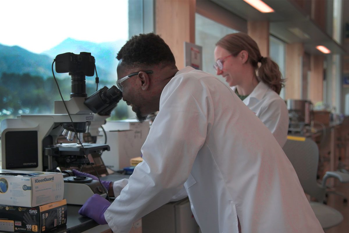 Molecular Pharmaceutics Development Fund Molecular Pharmaceutics Development Fund