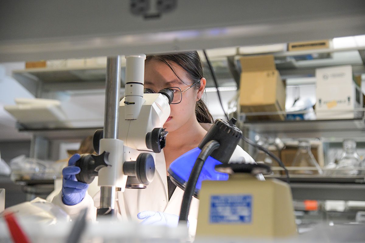 Pharmacology and Toxicology Development Fund