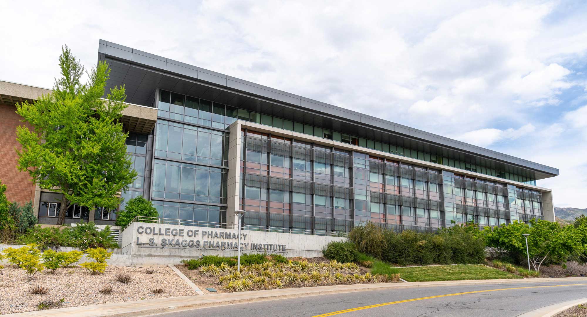 Pharmaceutics Chair Development Account