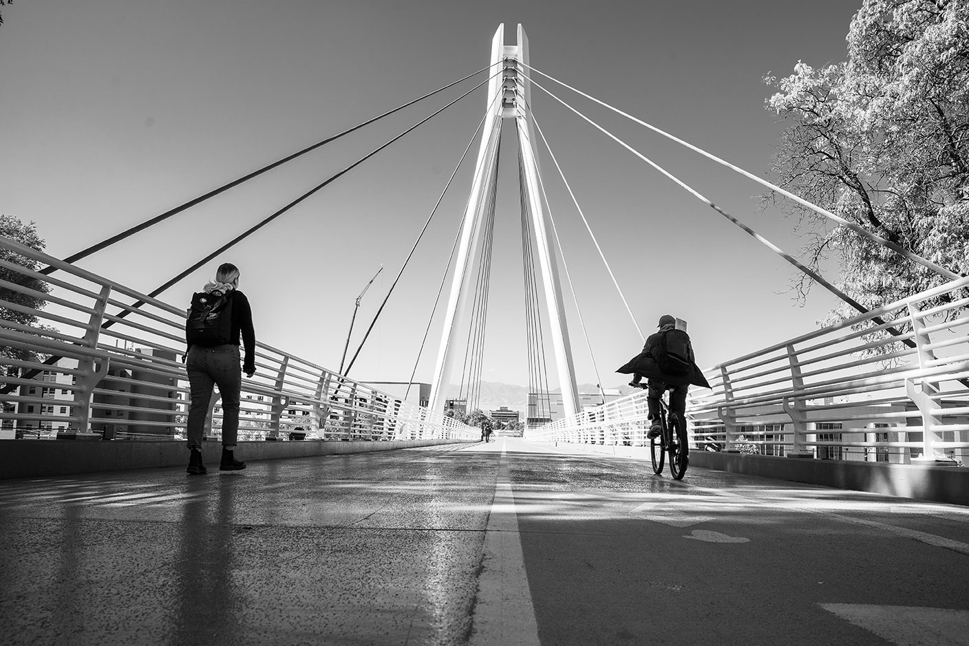 Education, Culture, and Society