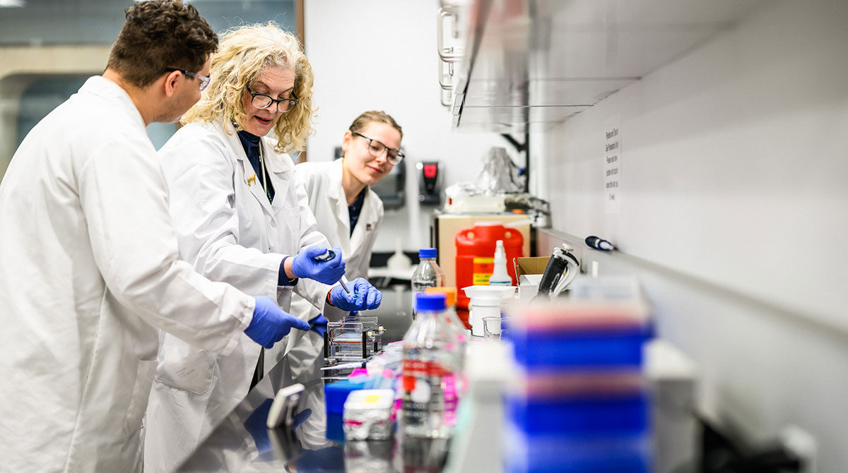 Roy E. McDonald and Family Scholarship