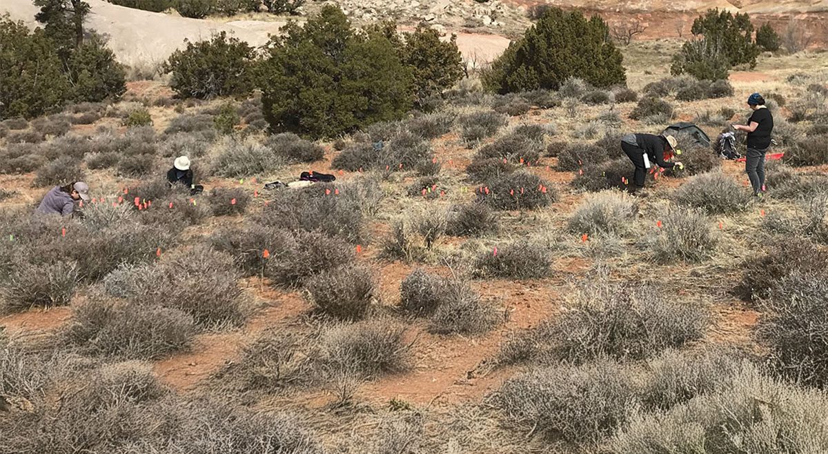 Anthropology Student Support